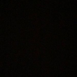 Meet your Posher, Laron